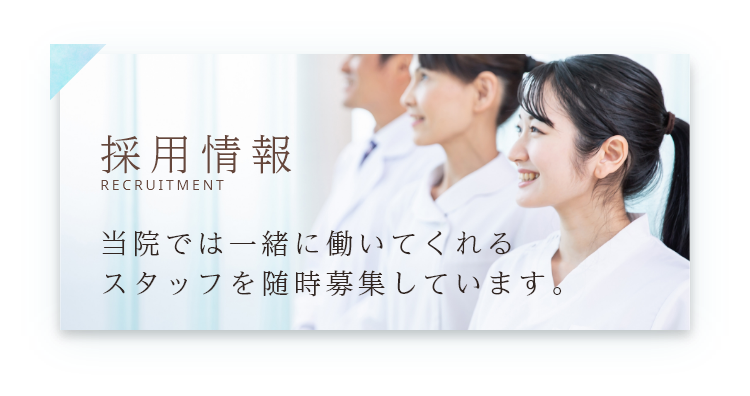採用情報
